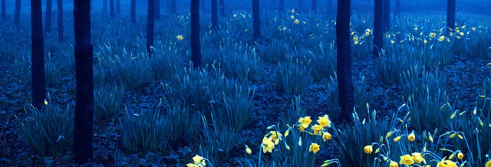 504bd767-5953-4d91-95ce-256a72e88936_medium