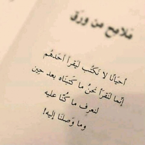 10945747_735050123274019_1663770550562047483_n